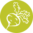 icon5 icon5